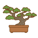 盆栽のイラスト