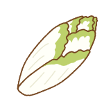 チコリーのフリーイラスト Clip art of chicory