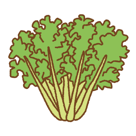 エンダイブのイラスト