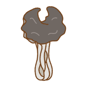 クロノボリリュウタケのフリーイラスト Clip art of fluted-black-elfin-saddle
