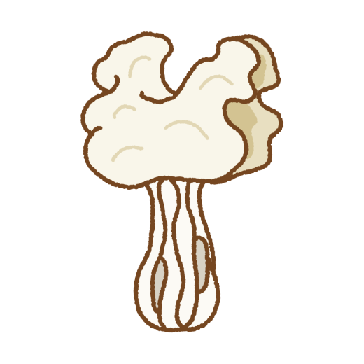 ノボリリュウタケのイラスト