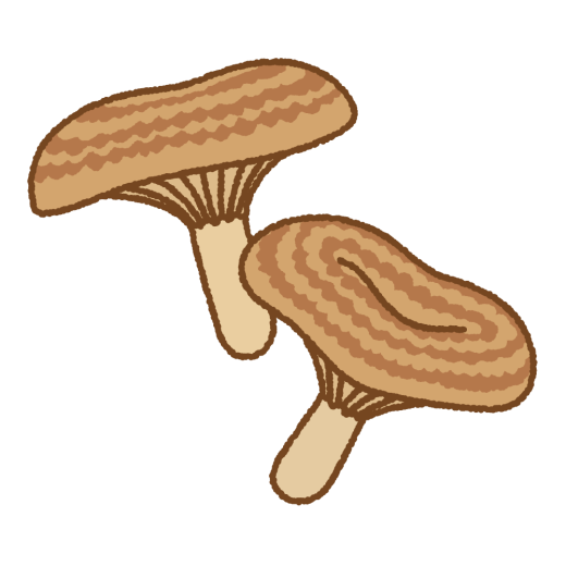 ハツタケのイラスト