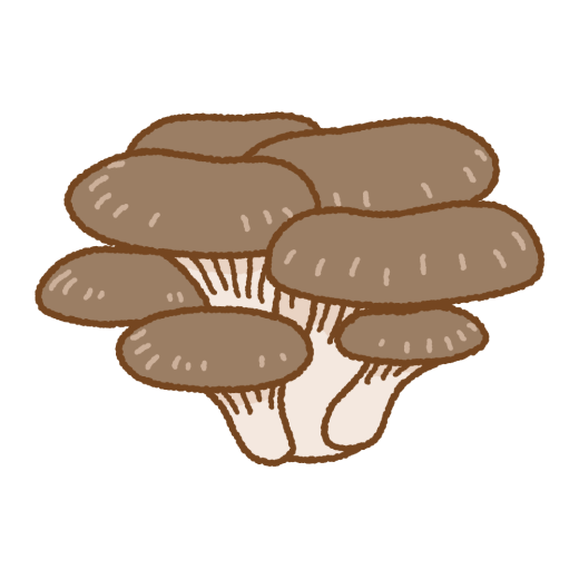 ヒラタケのイラスト