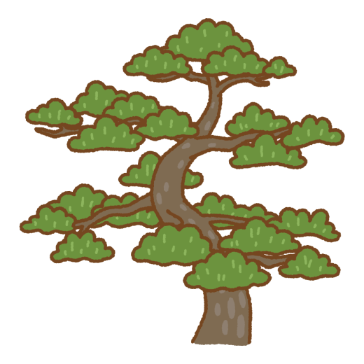 クロマツのイラスト