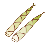ネマガリタケのイラスト