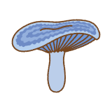ルリハツタケのイラスト