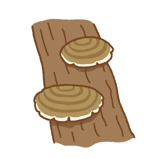 サルノコシカケのイラスト