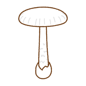シロツルタケのフリーイラスト Clip art of shiotsurutake