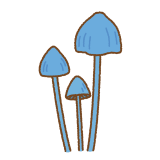 ソライロタケのフリーイラスト Clip art of sorairotake