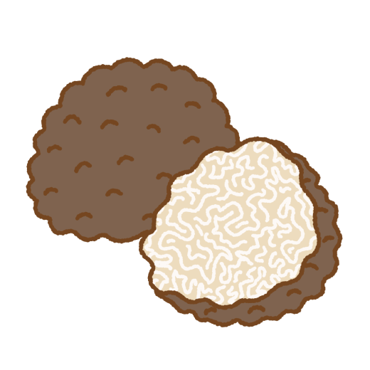 トリュフのイラスト