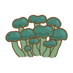 アオズキンタケのフリーイラスト Clip art of leotia-chlorocephala