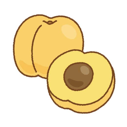 アンズのイラスト