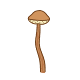 アシナガイグチのフリーイラスト Clip art of ashinagaiguchi