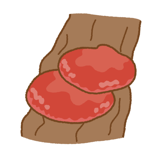 カンゾウタケのイラスト