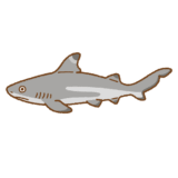 ツマグロザメのフリーイラスト Clip art of blacktip-reef-shark