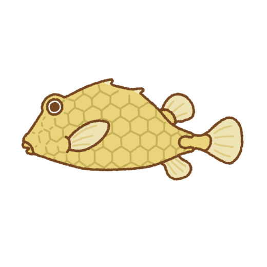 ハマフグのイラスト