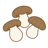 ホンシメジのイラスト