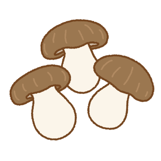 ホンシメジのイラスト