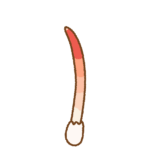 キツネノエフデのイラスト