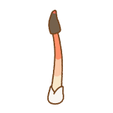 キツネノタイマツのフリーイラスト Clip art of wrinkly stinkhorn