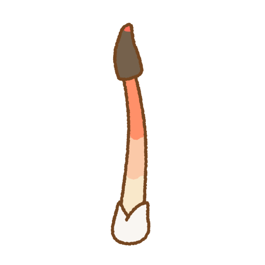 キツネノタイマツのイラスト