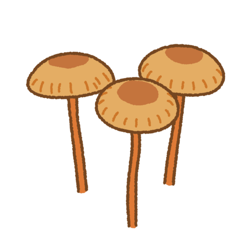 キツネタケのイラスト