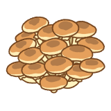 ナラタケのフリーイラスト Clip art of honey fungus