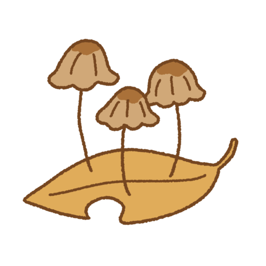 オチバタケのイラスト