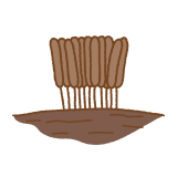 ムラサキホコリのフリーイラスト Clip art of stemonitis