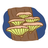ツキヨタケのフリーイラスト Clip art of tsukiyotake