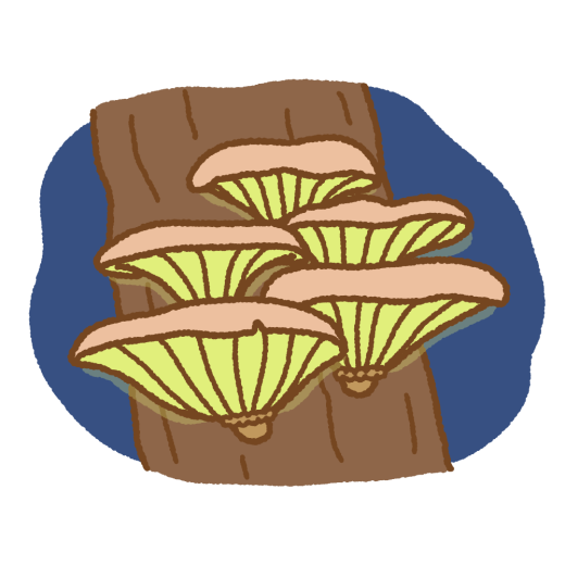ツキヨタケのイラスト