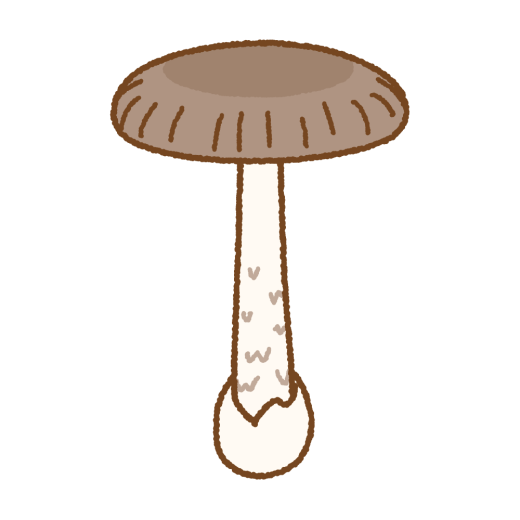 ツルタケのイラスト