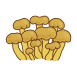ズキンタケのイラスト
