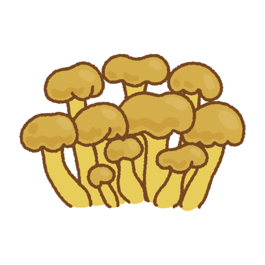 ズキンタケのイラスト