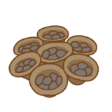 チャダイゴケのフリーイラスト Clip art of bird's-nest fungus