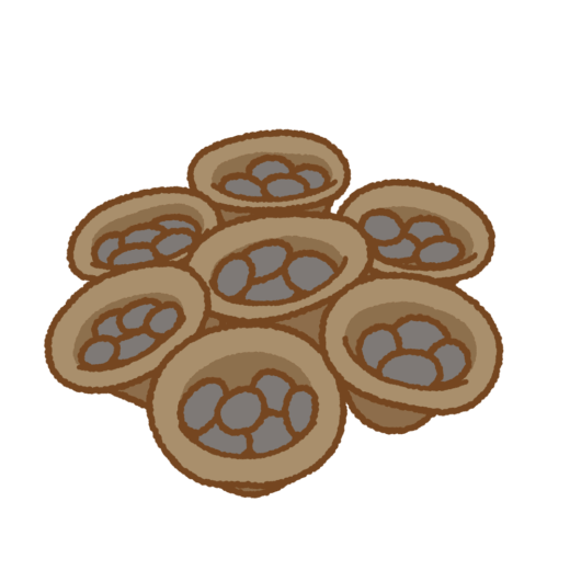 チャダイゴケのイラスト