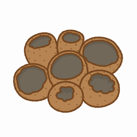 ゴムタケのイラスト