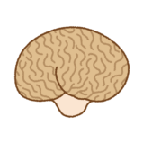 ノウタケのフリーイラスト Clip art of brain-puffball
