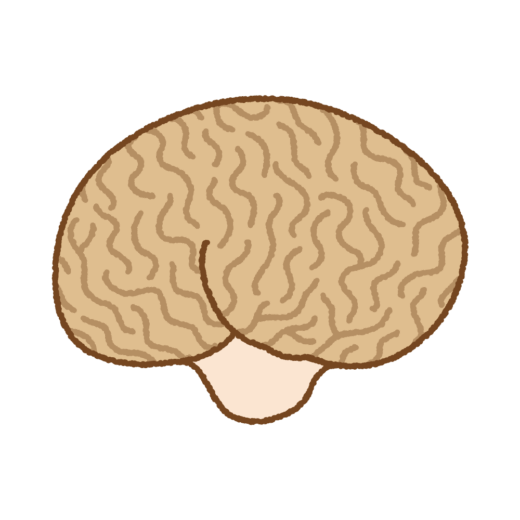 ノウタケのイラスト
