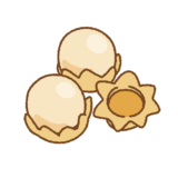 タマハジキタケのフリーイラスト Clipart of cannonball-fungus