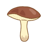 チチアワタケのフリーイラスト Clip art of weeping-bolete