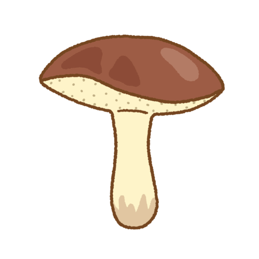 チチアワタケのイラスト