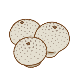 ホコリタケのフリーイラスト Clip art of warted-puffball