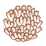 ホウキタケのフリーイラスト Clip art of clustered-coral