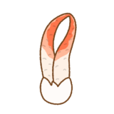 カニノツメのイラスト