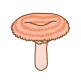 カラハツタケのイラスト