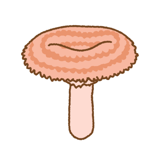 カラハツタケのイラスト