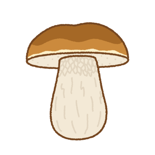 ポルチーニ茸のイラスト