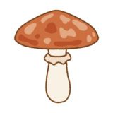 ヌメリイグチのイラスト