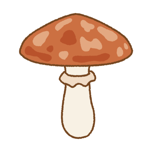 ヌメリイグチのイラスト